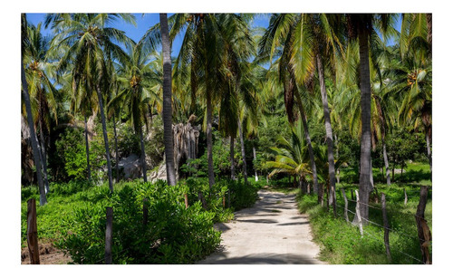 Imagen 24 de 30 de Venta Exclusivos Lotes De Playa , Puerto Escondido