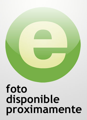 Administracion Electronica - Barriuso Ruiz, C.
