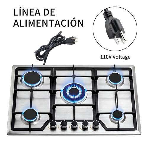 Parrilla Estufa De Gas Acero Inoxidable 5 Quemadores Cocción Plateado