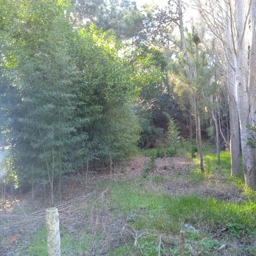 Imagen 2 de 5 de Terreno En Las Gaviotas