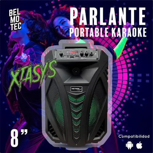 Parlante Portátil Inalámbrico Bluetooth Karaoke Grande Caja netmak