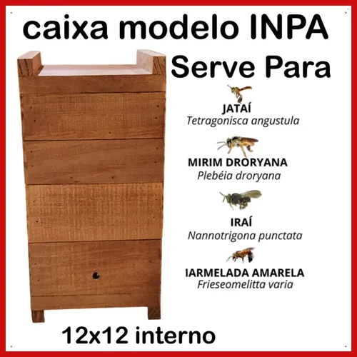 Caixa Colmeia Casinha Abelha Sem Ferrão Jataí Mirim Nativa