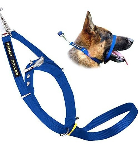 Canny The Collar For Dog Training And Walking, Simple P33se