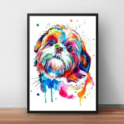 Quadro Poster Cachorro Raça Shitzu Moldura E Vidro 43x60cm 