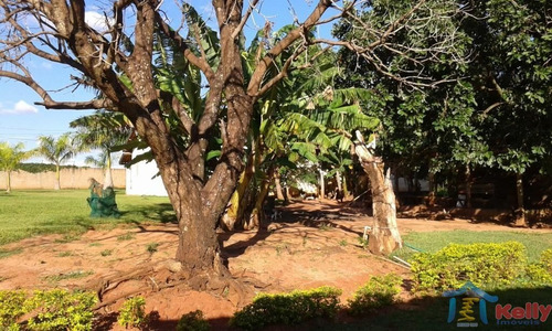 Imagem 5 de 30 de Vende-se Linda Chácara Em Álvares Machado - 1071