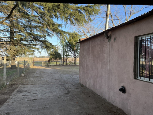 Imagen 11 de 20 de En Venta!!! Casa Quinta Frente A Rn 188, Km 153. (junín - Ba)