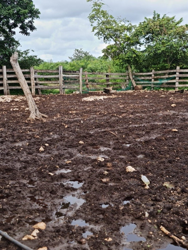 Rancho Cerca De Chichén Itzá Propiedad Privada Sobre Carrete