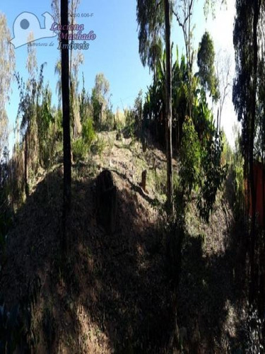 Imagem 15 de 15 de Chácara Para Venda Em Atibaia, Tanque, 3 Dormitórios, 1 Suíte, 2 Banheiros, 3 Vagas - Ch00047_2-977404