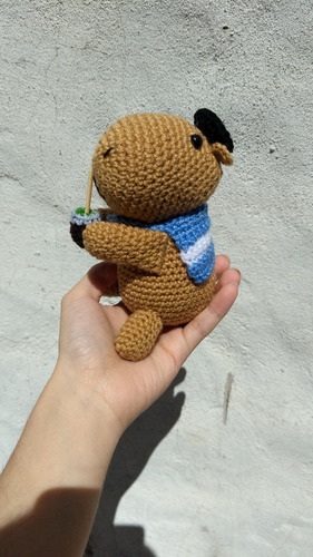 Capibara Carpi A Crochet