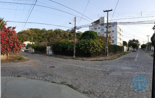 Imagem 4 de 15 de Casa Em Nova Descoberta - V-11387