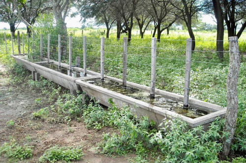 Imagen 7 de 19 de Estancia El Porvenir 200 Hectáreas Juan José Castelli