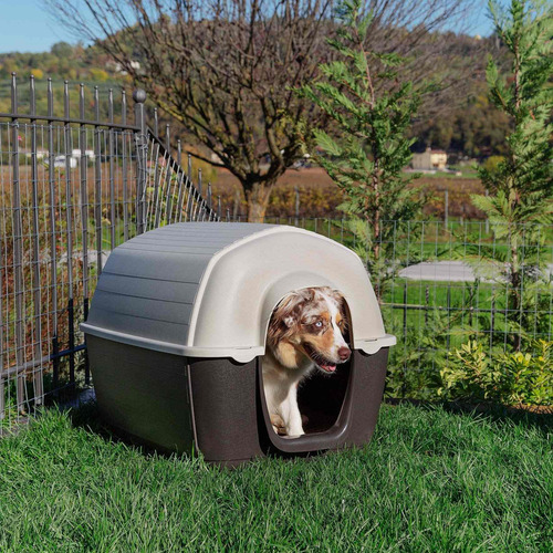 Imagen 2 de 9 de Casilla Cucha Perros Medianos 03/89cm. + E. Gratis*