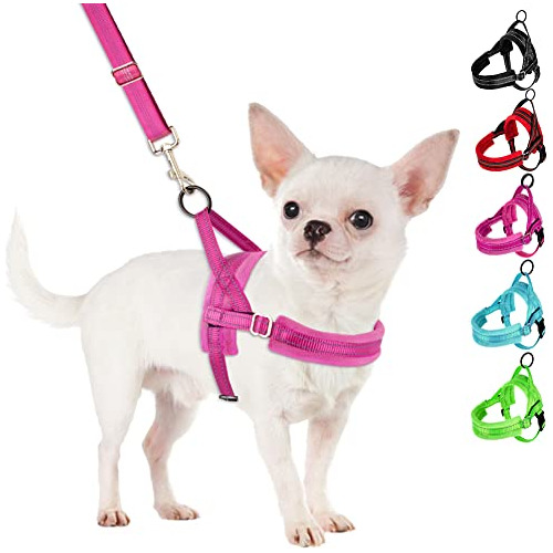 No Pull Small Dog Harness And Leash Set, Puppy Soft Ves...