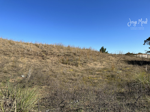 Lote Polo #100-200 - Costa Esmeralda - Ecuestre - 1011m2 #id 9822
