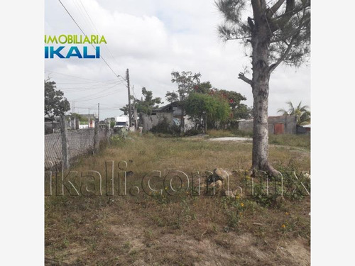 Imagen 8 de 12 de Terreno En Renta Anahuac