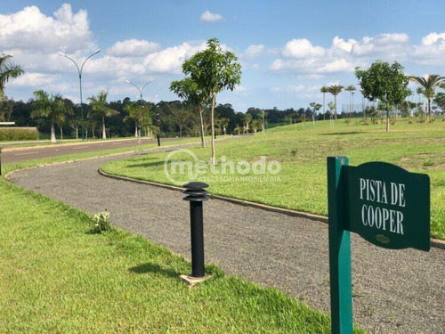 Terreno - Te00155 - 68207802