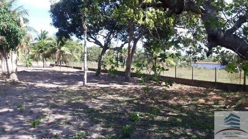 Imagem 5 de 14 de Granja A Venda Lagoa Do Bonfim