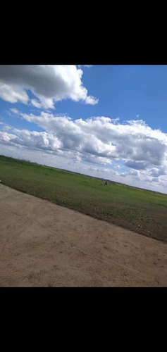 Imagen 4 de 10 de Se Vende Finca Vial Alsur Cerca Del Veladero Ve02-1313vs-myafar