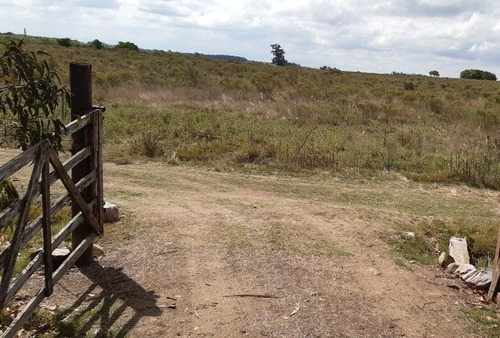 Chacra San Jacinto Ruta 11 Casa Tajamar Alambrado Monte 11 Ha