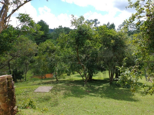 Imagem 23 de 30 de Sítio De 3,5 Alqueires, Excelente Localização! Com Área Aberta Para Criação Recreativa E Mata Nativa Para Trilha E Caminhada.. - 237 - 69821549