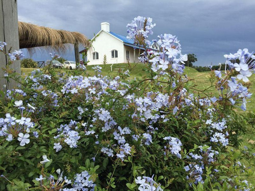 Los Vientos, Chacra En José Ignacio