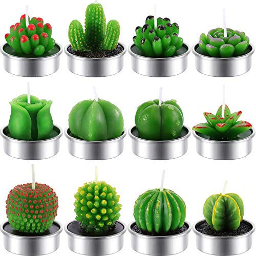 12 Piezas De Velas De Candelita De Cactus Hechas Mano D...