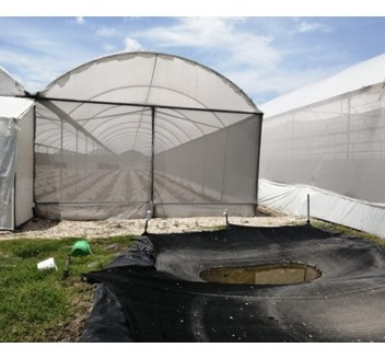 Imagen 9 de 12 de Venta Terreno Yautepec Morelos
