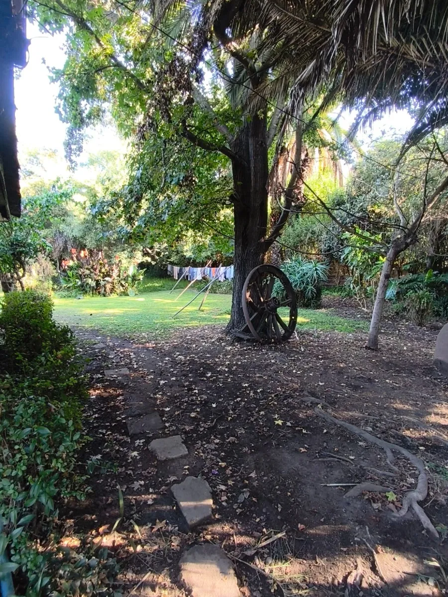 Imagen 4 de 30 de Casa En Pequeña Parcela, Jardín Formado, Talagante