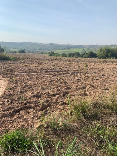Imagem 5 de 8 de Terreno Em Descalvado Sp