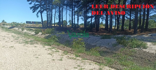 Imagen 2 de 9 de Terrenos Financiados A Pura Cuota En El Pinar Proximos A Gianattassio