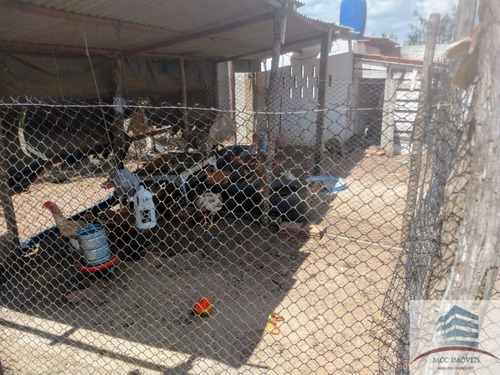 Imagem 7 de 30 de Granja A Venda Em Macaíba