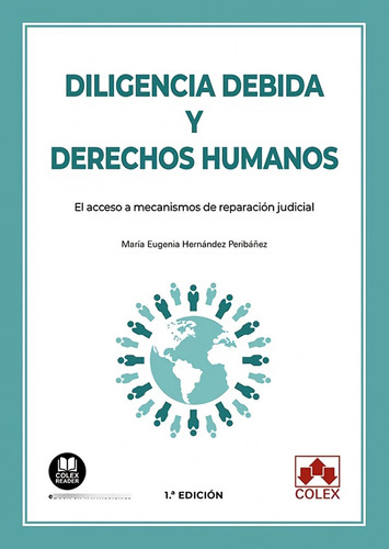 Libro Diligencia Debida Y Derechos Humanos