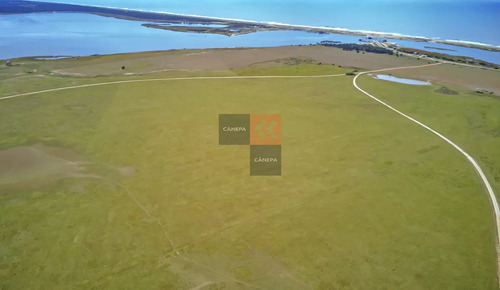 Chacra Con Costos A Laguna Anastasio En Jose Ignacio