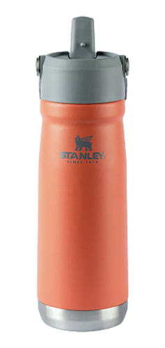 Garrafa Térmica Stanley Flip Straw Guava 651ml