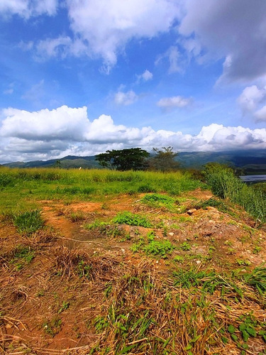 Imagen 9 de 14 de Venta Terreno Terrazas Del Country Guataparo Valencia