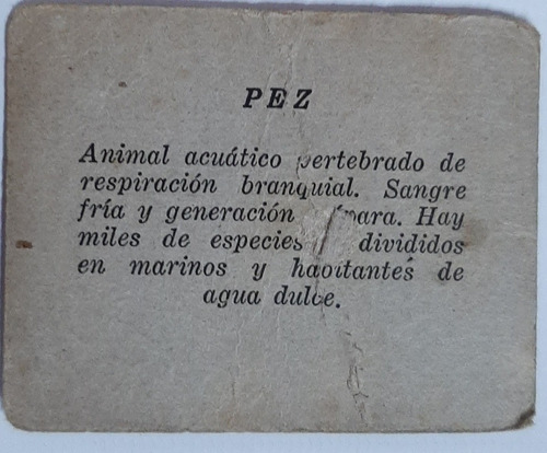 Imagen 8 de 8 de Antiguas Figuritas Animales Cartón Lote X 60 Ro 293