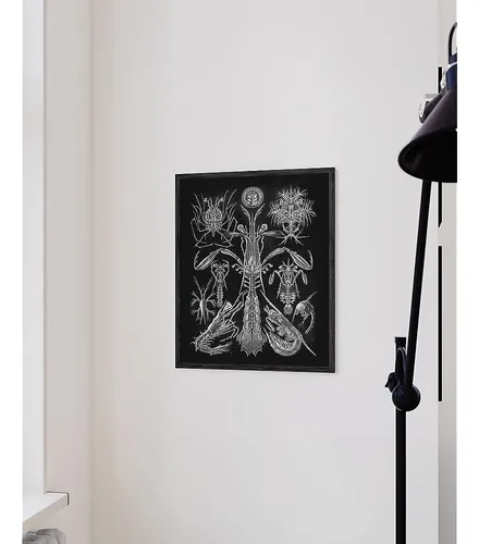 Haus Y Hues Haeckel Imprime Arte Mural Gótico - Arte Mural E