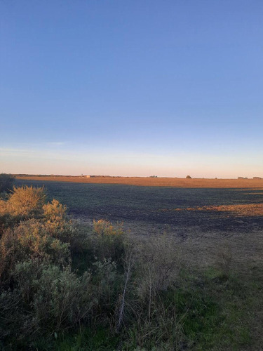 Imagen 8 de 12 de Campo - Costa Del Uruguay