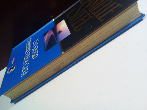 Um Longo Caminho Para Casa-biblioteca Danielle Steel(livro). (Usado)