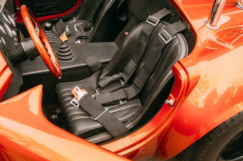Ford Cobra V8 302 (no Gt 40/porsche/shelby/hot Rod)