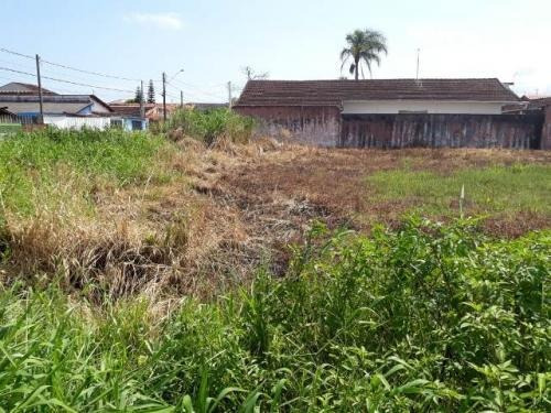 Imagem 4 de 4 de Excelente Terreno A 400 Metros Do Mar Em Itanhaém - 5881