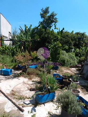 Imagem 2 de 4 de Terreno À Venda 580m² Vila Costa - Suzano/sp - Te00173 - 69204398