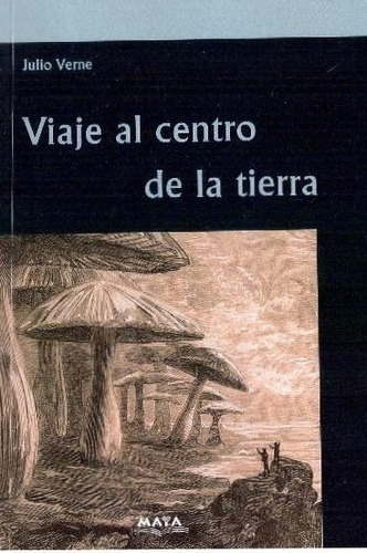 Viaje Al Centro De La Tierra - Julio Verne