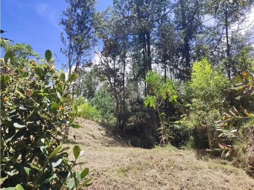 Vendo Lote El Retiro Antioquia En Parcelacion 3128 M2 Ldc