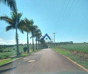 Imagem 5 de 13 de Chácara No Condomínio Tucunaré À Venda, 1115 M² Por R$ 95.000 - Floresta - Alvorada Do Sul/pr - Ch0270