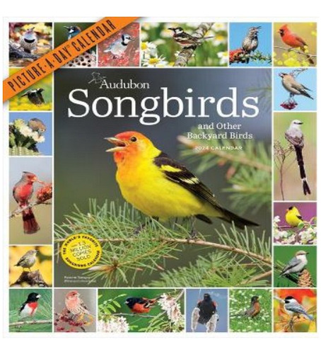 Audubon Songbirds And Other Backyard Birds Picture-a-da. Eb8