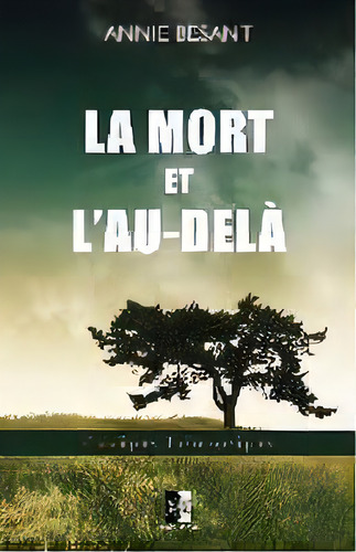 La Mort Et L'au-dela : Edition De Luxe, De Annie Besant. Editorial Unicursal, Tapa Blanda En Francés