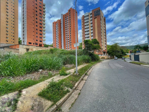 Imagen 6 de 14 de Terreno En Venta En El Bosque
