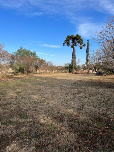Imagen 3 de 18 de Quinta Barrio Villa Gran Parque Lote Con Propiedad