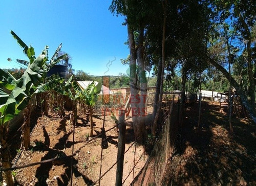 Imagem 10 de 15 de Chacara - Ref: 6353 - V-6353